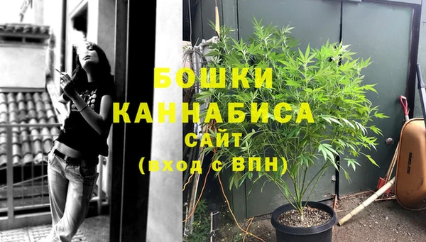 ПСИЛОЦИБИНОВЫЕ ГРИБЫ Липки