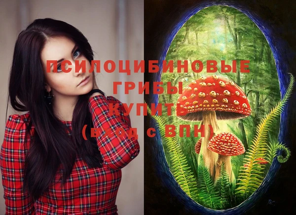 марки nbome Лиски
