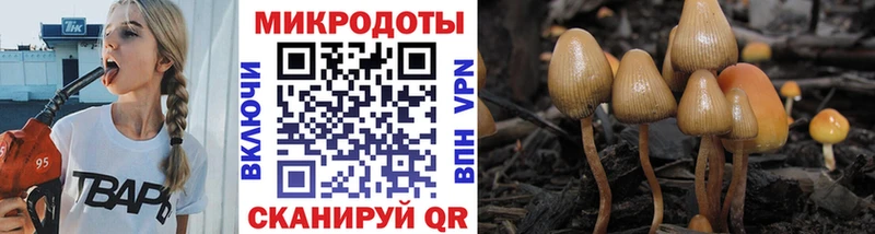 где можно купить   кракен   Галлюциногенные грибы Psilocybine cubensis  Чухлома 